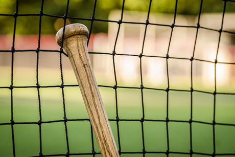 The Best Baseball Net for Backyard Training: 7 Fantastic Options